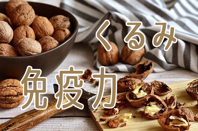 くるみの画像