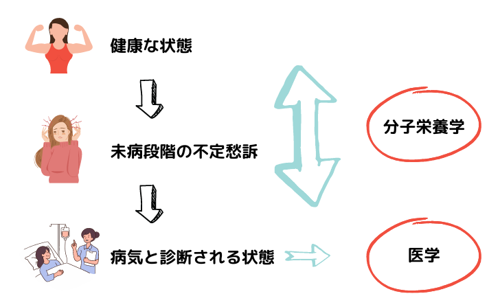 分子栄養学とは?わかりやすく